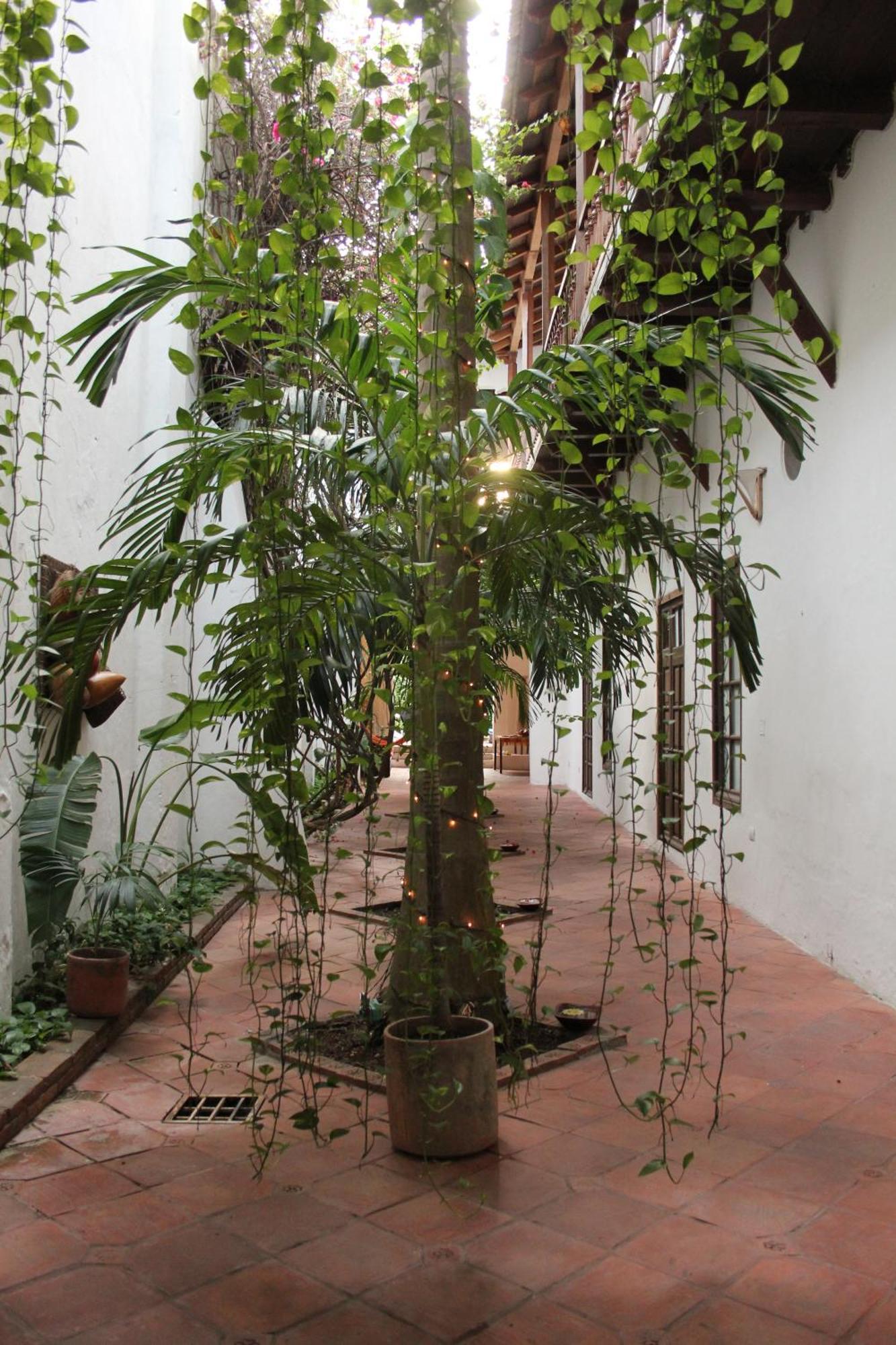 Готель Casa Del Tejadillo Cartagena Екстер'єр фото